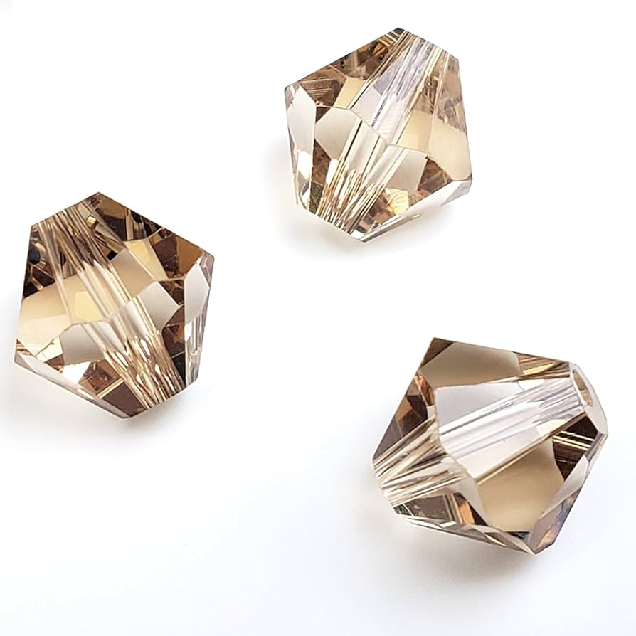 自然の骨 円錐形 アートピース 中型 数楽アート COMET - 円錐 - AH002 | sugakuart